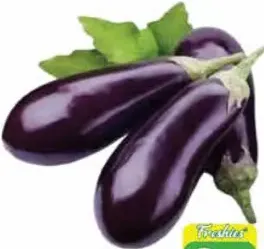 باذنجان كبير عماني