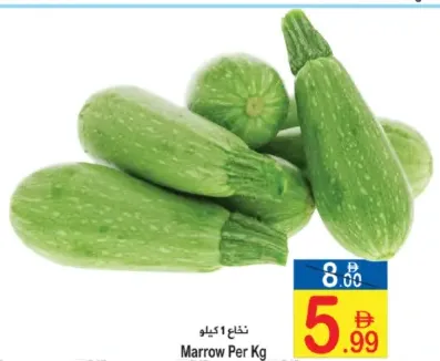 نخاع
