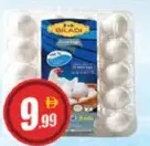Biladi بيض طازج