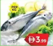 سمك ماكريل بارا