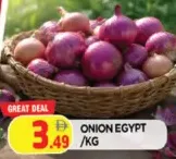 Onion Egypt