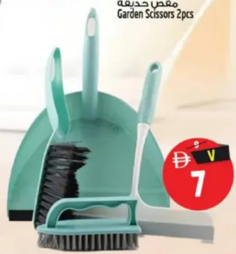 Brush With Pan Set