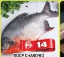 Roop Chand