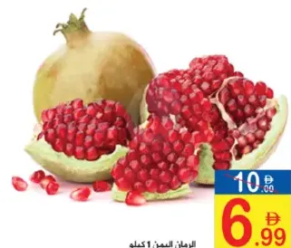 رمان يمني الحجم