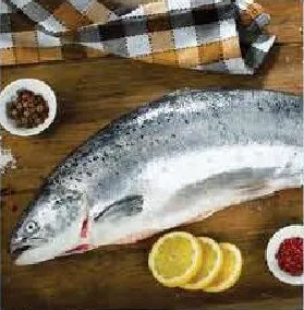 Salmon Norway