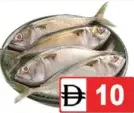 Mackerel (Ayala)