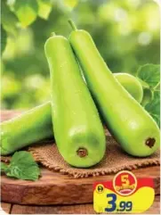Bottle Gourd Long