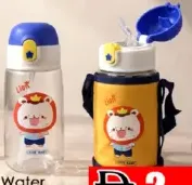 Water Bottle