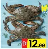 Crab Big