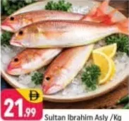 Sultan Ibrahim Asly