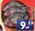 سمك تيلابيا