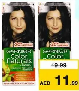 Garnier Natural Hair Color Assorted