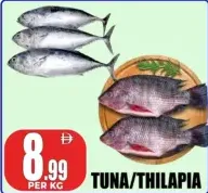 Tuna/Thilapia
