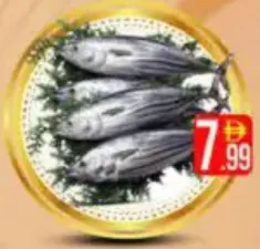 Tuna