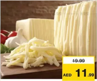 Mozzarella Cheese Block / Shredded
