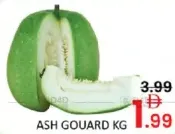 Ash Gourd