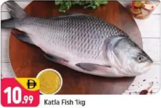 سمك كاتلا
