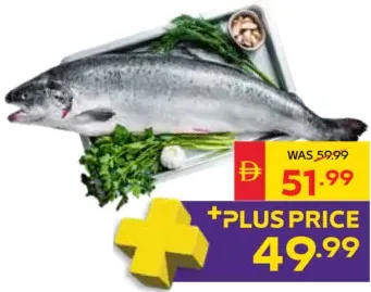Fresh Whole Norway Salmon 2/3