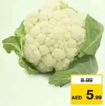 قرنبيط