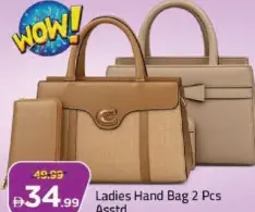 Ladies Hand Bag Assorted