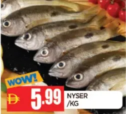 Nyser