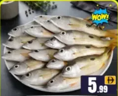 سمك نايسر