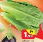 Lettuce