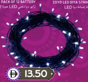 Zayo حبل إضاءة LED أبيض بارد