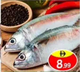 Fresh Mackerel Fish