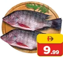 Thilapia Fish