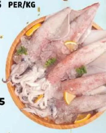Squid Big