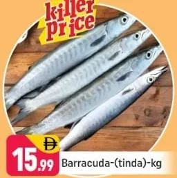 براكودا - (تندا)