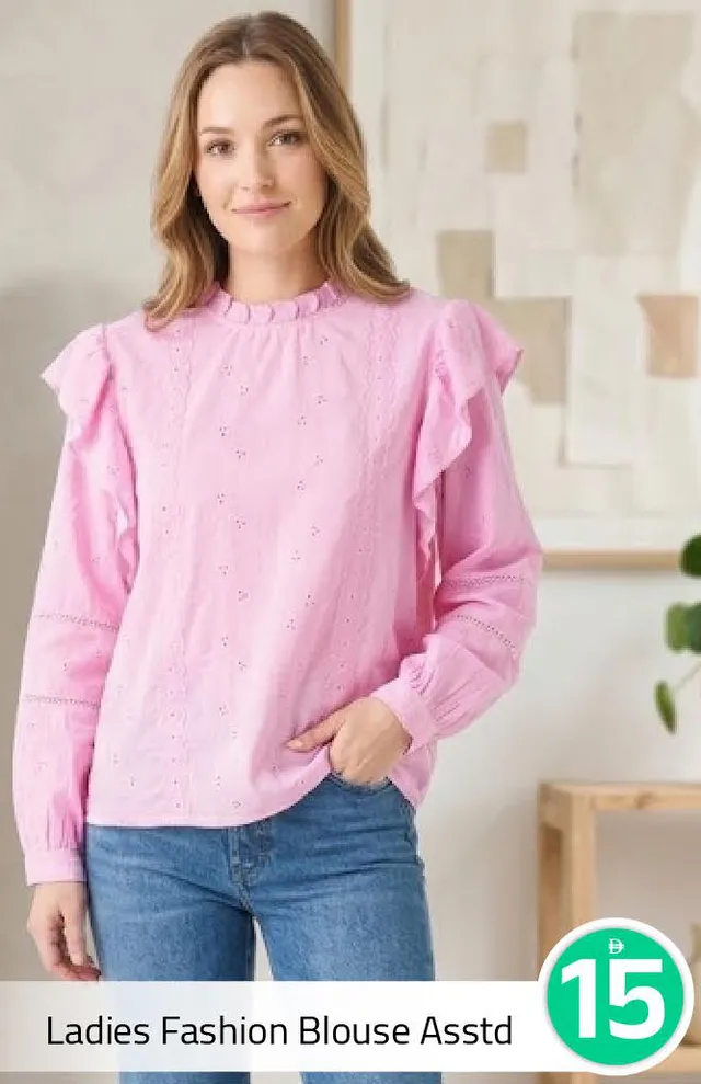 Ladies Fashion Blouse Assorted
