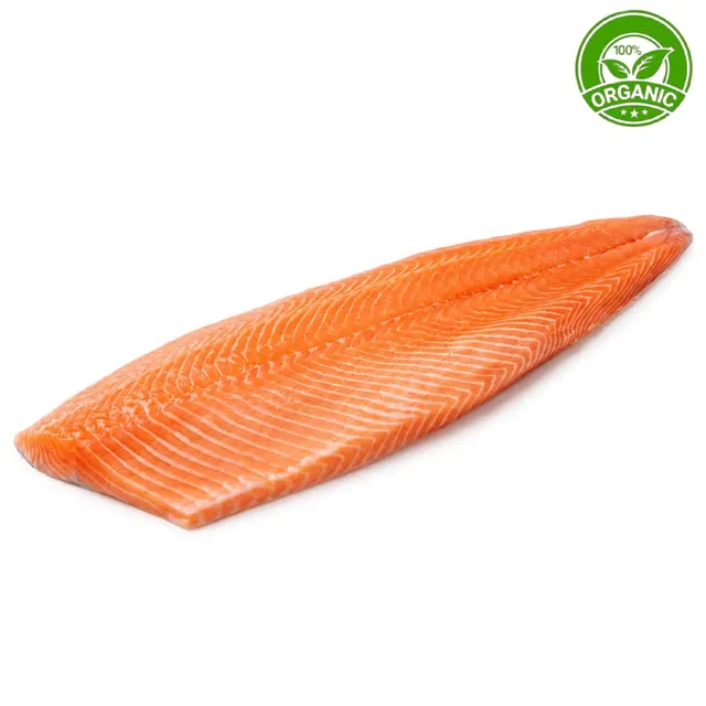 Carrefour Organic Salmon Fillet Import