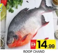 سمك روب تشاند