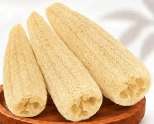 Egyptian Loofah