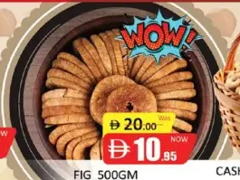 Fig