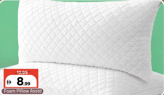 Foam Pillow Assorted
