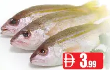 Naiser Fresh Fish