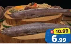 Macarona Fish