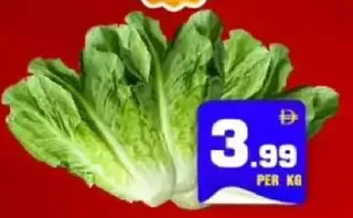 Lettuce