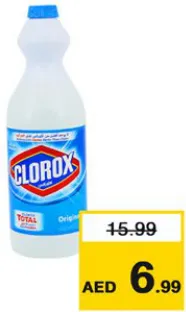 Clorox Quarts Regular