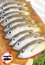 Naiser Fish