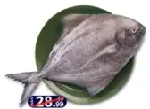 Black Pomfret