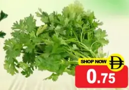 Fresh Leaves