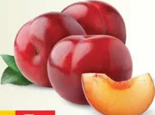 البرقوق