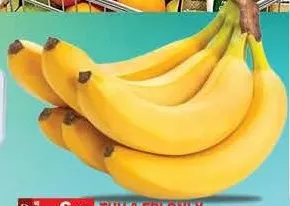 Banana Philippines
