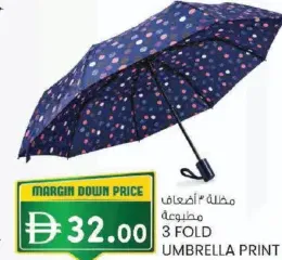 3 Fold Umbrella Print