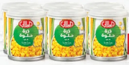 العلالي ذرة حلوة كاملة الحبة