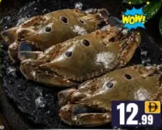Crab